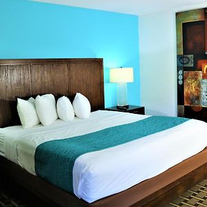 King Room Mobility accessible